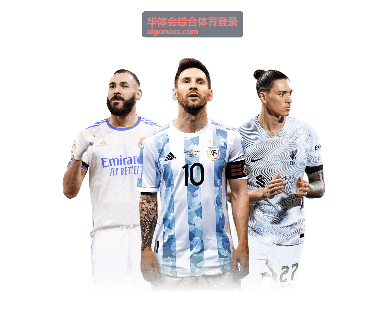 华体会综合体育登录赛事画面与观赛氛围