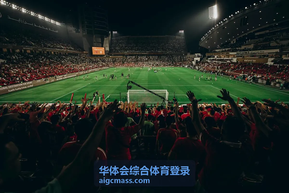 华体会综合体育登录现场赛事灯光与看台