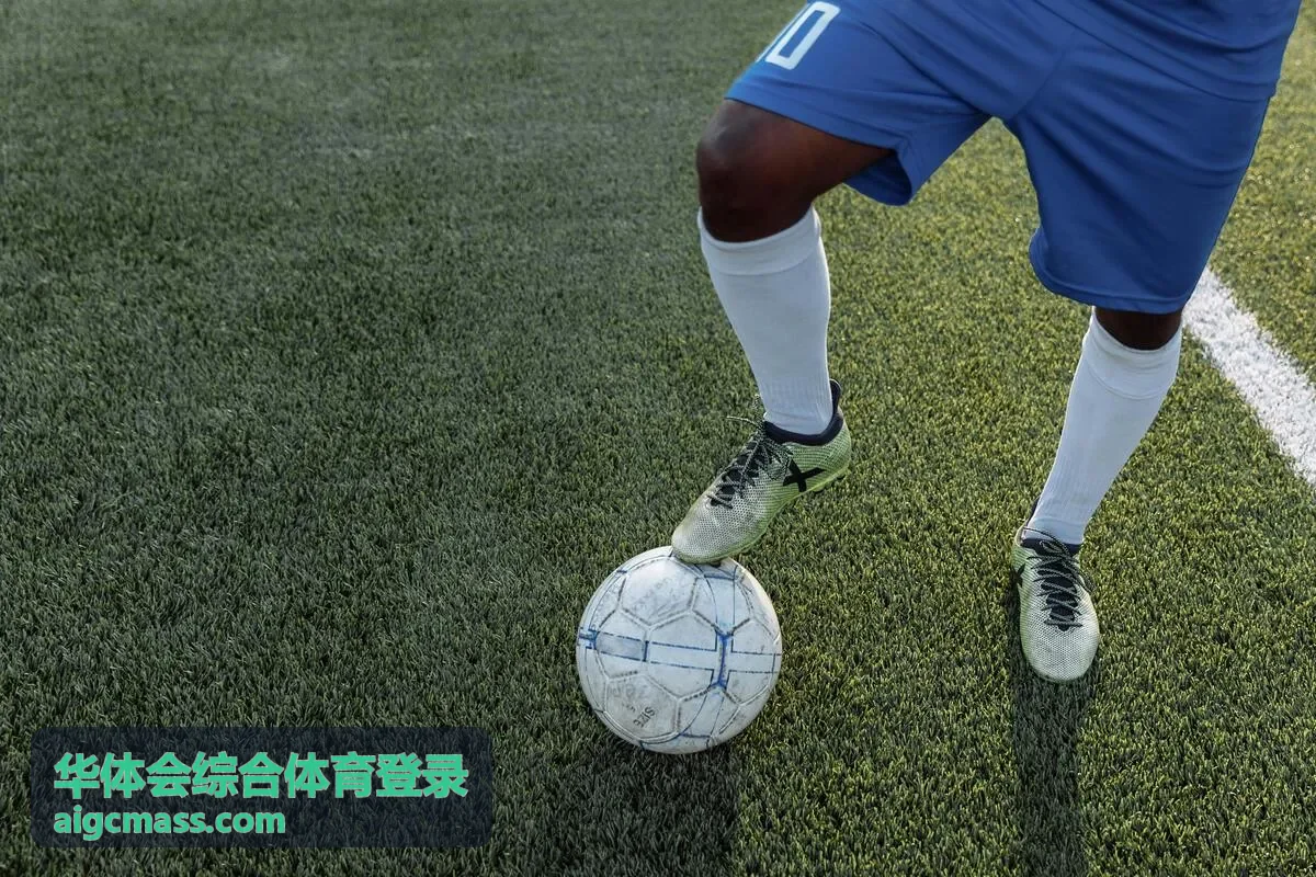 电竞互动栏目华体会综合体育登录